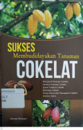 sukse membudidayakan tanaman cokelat